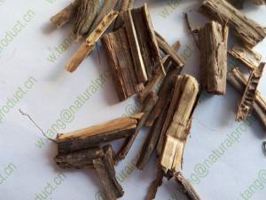 Quality Agastache carnosua L Wall dried stem spices organic raw herb medicine Pai xiang cao for sale