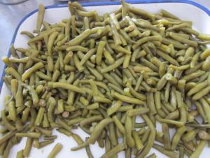 Quality Canned green beans for sale
