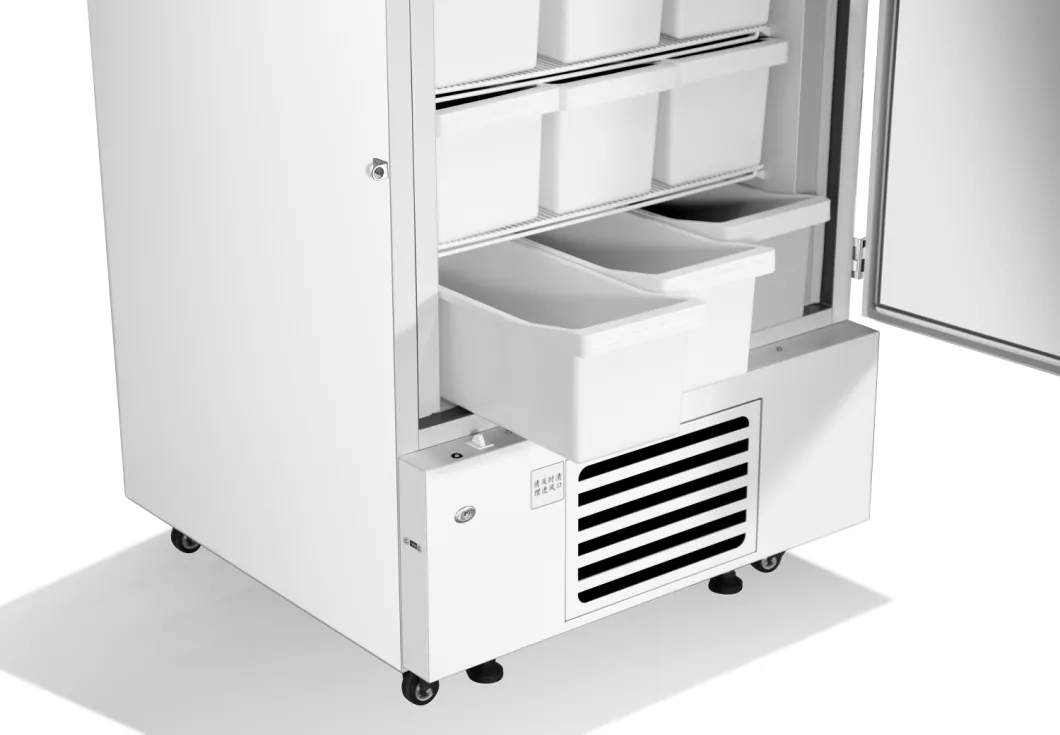 Minus 25 Degrees 528L Capacity Upright Laboratory Vaccine Freezer With Double Doors CE FDA