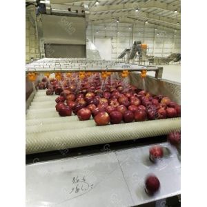 Water Saving Energy Saving Apple Jam Production Line Turnkey Project