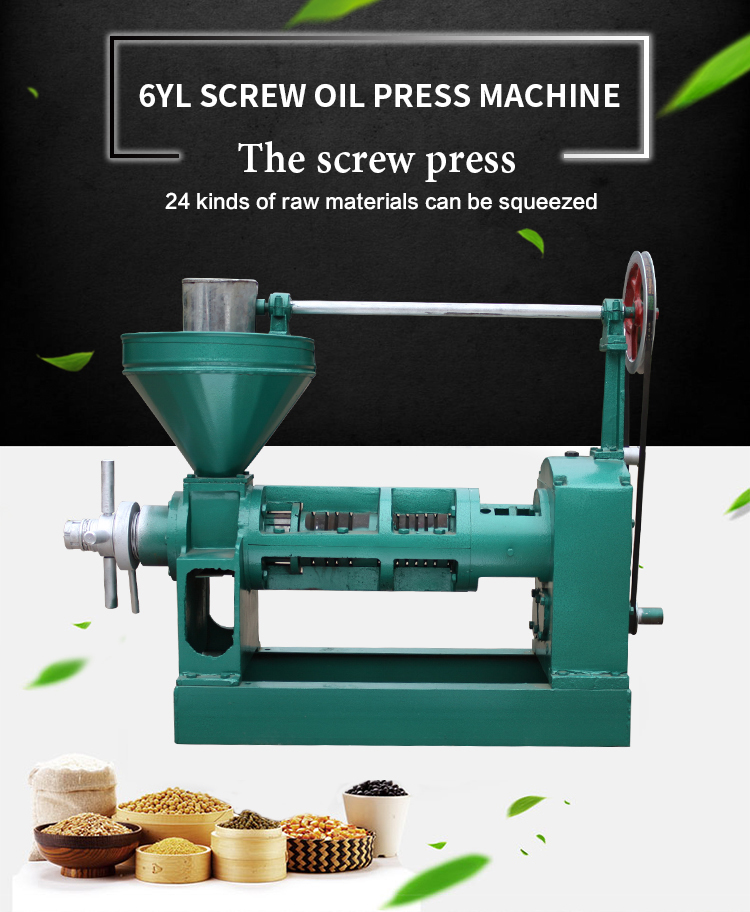 High Oil Yield Cold Avocado Oil Extraction Peanut Avocado Oil Press Machine Automatic Grade Automatic Voltage 380V/50HZ