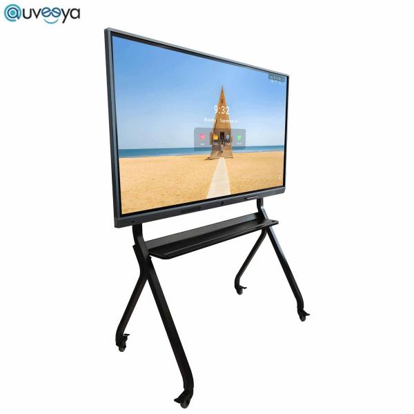 Educational interactive flat panel displays