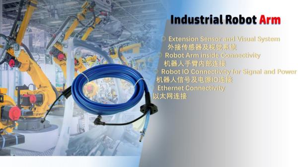 Buy M12 Hose Assembly Extension Sensor And Visual System For Robot Arm IO Connector at wholesale prices