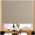 Contemporary Windows Shades Blinds Beige with Pleated Venetian style