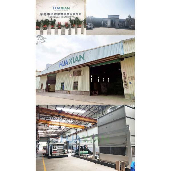 Fish/Beef/Chicken/Potato/Onion/Ginger Cold Room Refrigeration Type Blast Cooling Walk in Storage Freezer