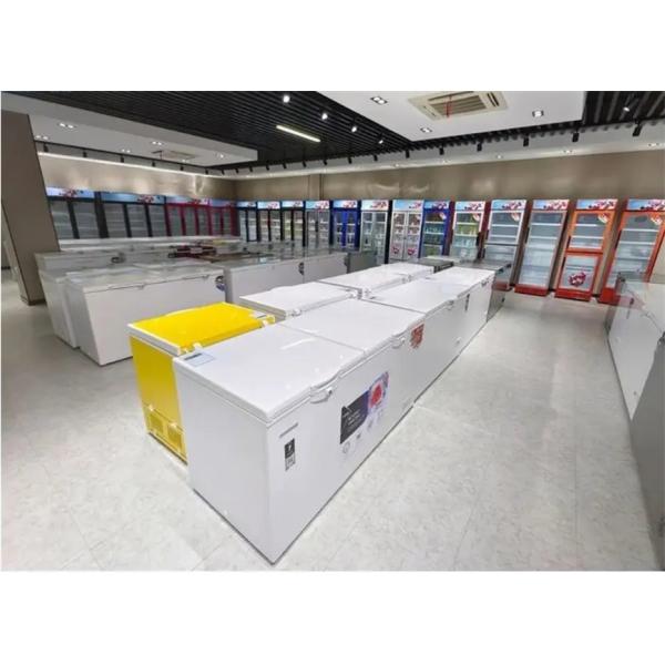 220 - 240V Upright Showcase Cooler With Power Supply 310L Beverage Display Chiller