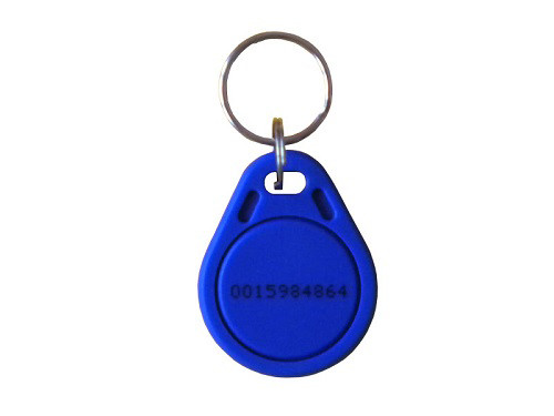 Customized Size RFID Key Fob Tag 13.56MHz 125KHZ with SLI SLI-X Chip
