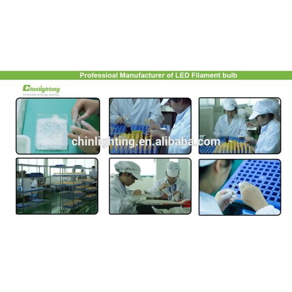 Chinlighting LED Copper Wire G40 String Lights 12ft with 12 Bulbs