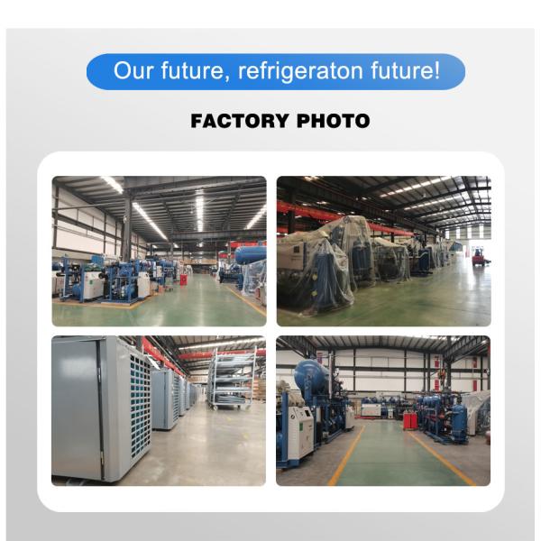 Semi Hermatic Screw Type PLC Customizable Large Scale Cold Storage Compressor Rack