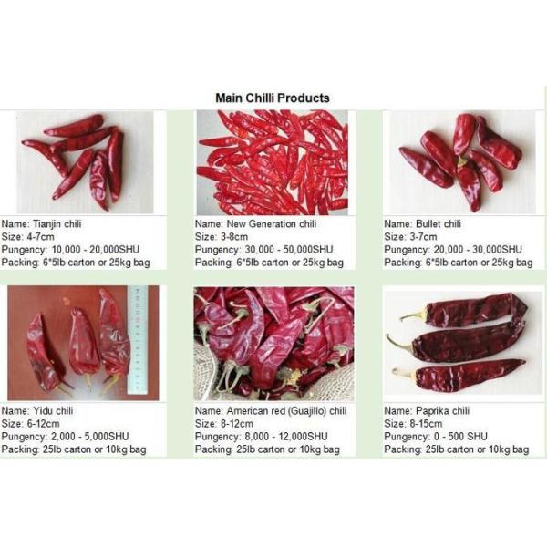 High Quality Low Price Stemless Chaotian Chilli Dry Bullet Chilli Xinyidai New Generation 5