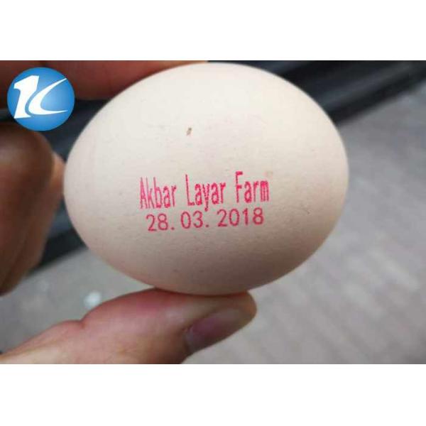Number Logo Date Code Printing Machine / Egg Jet Printer Automatic Operation