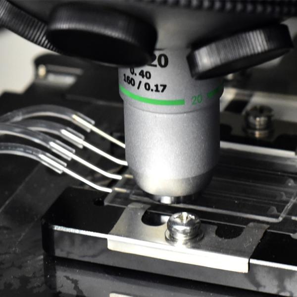 OEM Urine Analysis Machine Urine Microscopy Analyzer Standing RBC