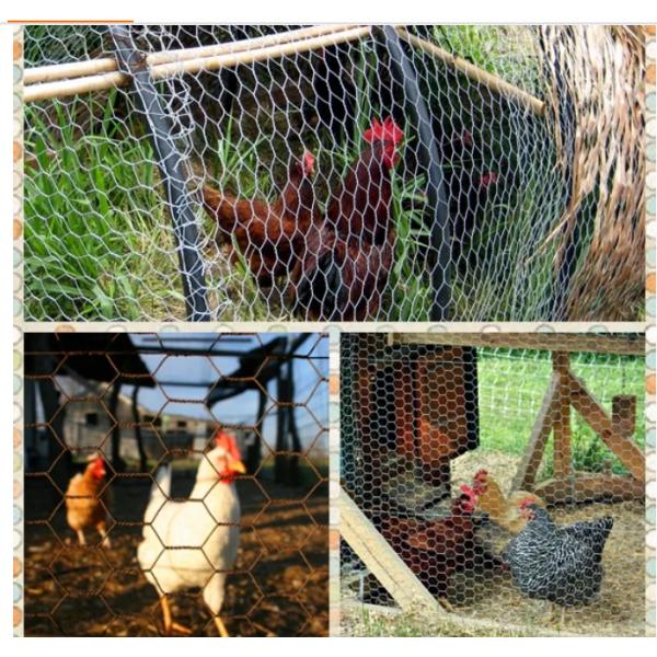 Powder Coated 6x6 Hex Wire Mesh For Fish Cage