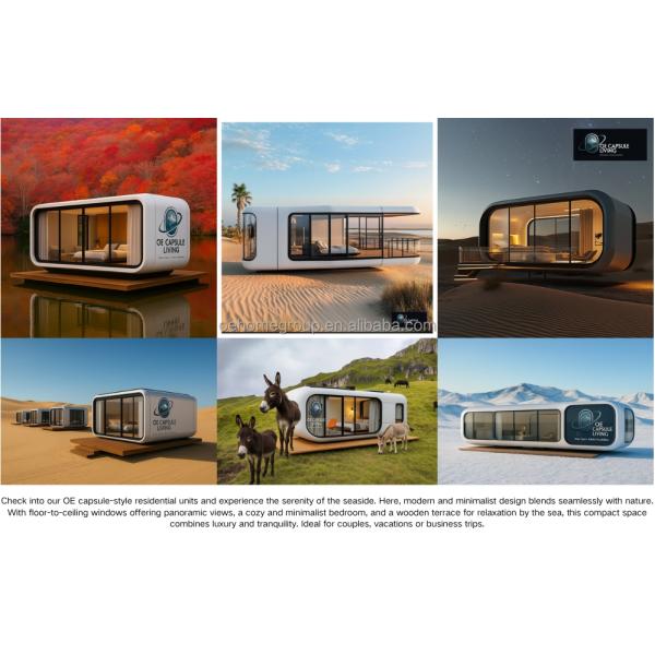 Durable Using Various Prefab Container House Tiny Portable Home Tiny Modular House Camping Hotel Space Capsule