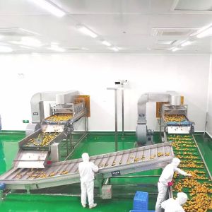 Complete Pineapple And Mango Juice Processing Line Automatic
