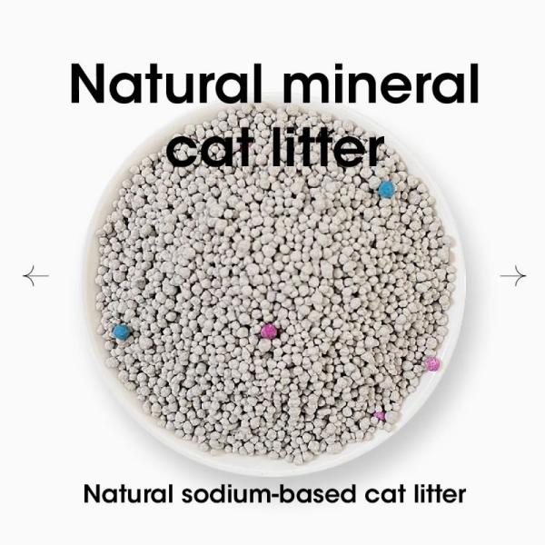Dust Free Bentonite Clay Clumping Highly Absorbent Bentonite Biodegradable