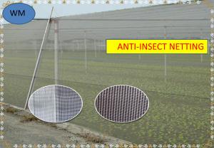 China HDPE Insect Mesh Netting Anti-Insect Netting For Agricultural on sale
