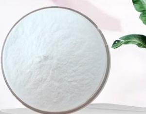 Quality Food Grade Coconut Powder Coconut Milk Powder Coconut Fat Powder for sale