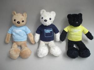 Quality Teddy Bears wearing t-shirt for sale