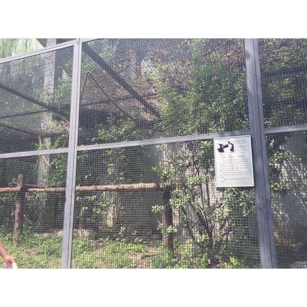 A square hole welded aviary mesh with black painting is used as aviary house. In aviary house, green plants are inside.