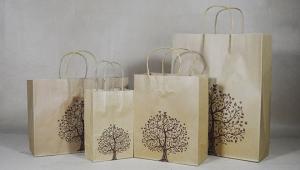 China Brown Kraft Paper Gift Bags Wholesale Full Size Custom Retail Merchandise Carrier Gift Shopping Bag on sale