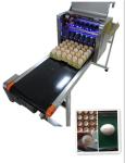 Eggs Continuous Inkjet Printer With Date Automatically Updated Programme