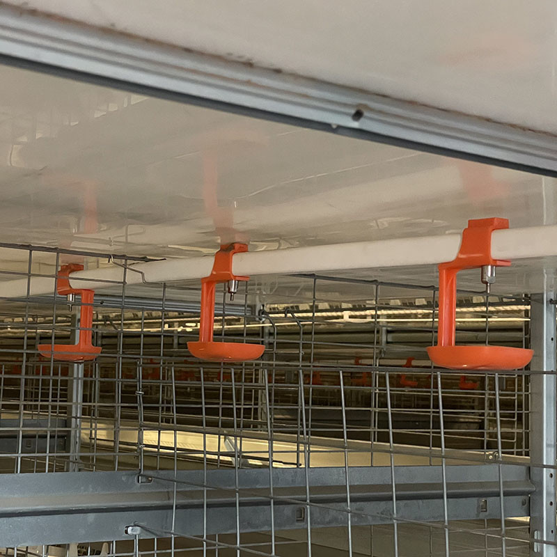 Automatic Production Egg Chicken Poultry Cage Professional Economical