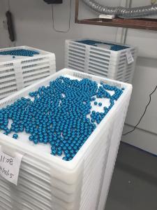 Quality Low Noise PLC Control Paintball Encapsulation Machine with Touch Screen for sale