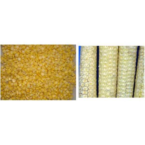 Sweet Corn Vegetable Processing Equipment Maize Thresher Peeling Machine