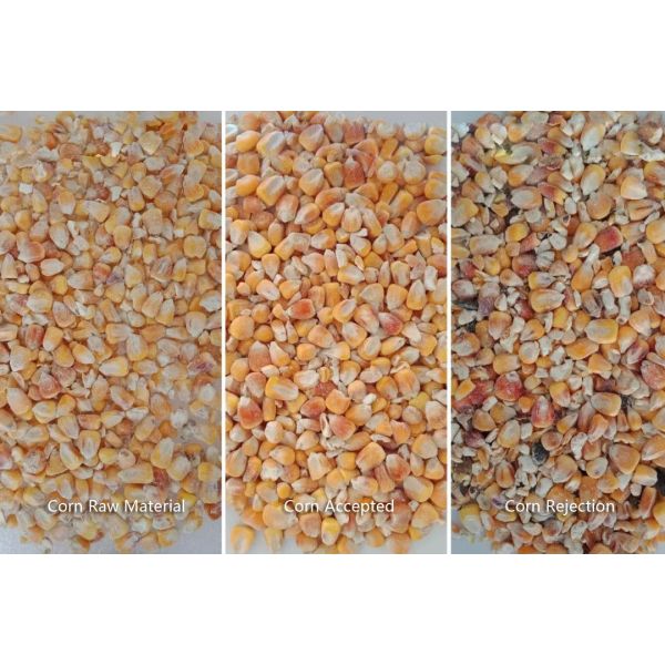 Corn Grit Grain Color Sorter 4 Chute With Hd Identification