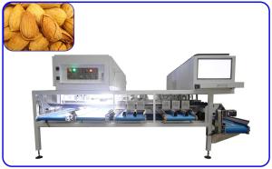 Quality AI Grading Sorting Machine 12 Channel Mechanical Almond Sorting Equipment for sale