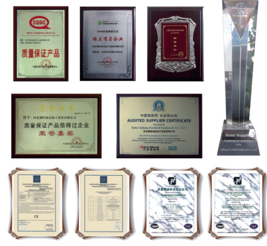 SH Fully automatic Natural Potato Chips making machine