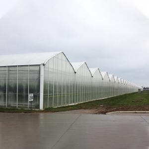 Quality Commercial Hydroponics Polycarbonate PC Sheet Greenhouse Frames Multi Span for sale