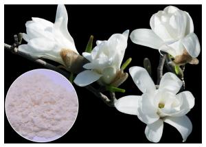 China 50% - 95% Magnolol Magnolia Bark Supplement , Magnolia Officinalis Bark Extract HPLC Test on sale