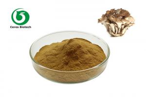 Quality 100 Mesh 20/1 Maitake Grifola Frondosa Extract for sale