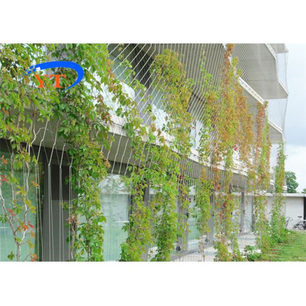 Rustproof SS Rope Mesh 1.2mm Reinforcing Metal Mesh For Climbing Plants