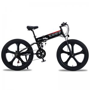 China Magnesium Alloy Lithium Battery Electric Bike , 48V 500W Electric Bicycle on sale