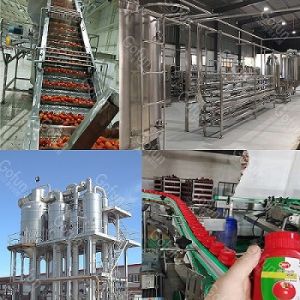 Quality 380V Fully Automatic Tomato Paste Processing Machine Water Saving For Factory for sale