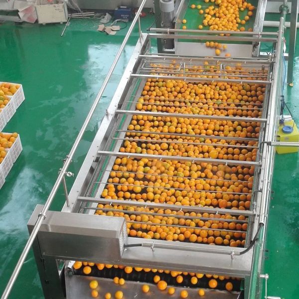 High Quality Customizable Orange production plant New fruit Juice Processing Machine Complete Orange/Lemon/Tangerine juice processing equipment