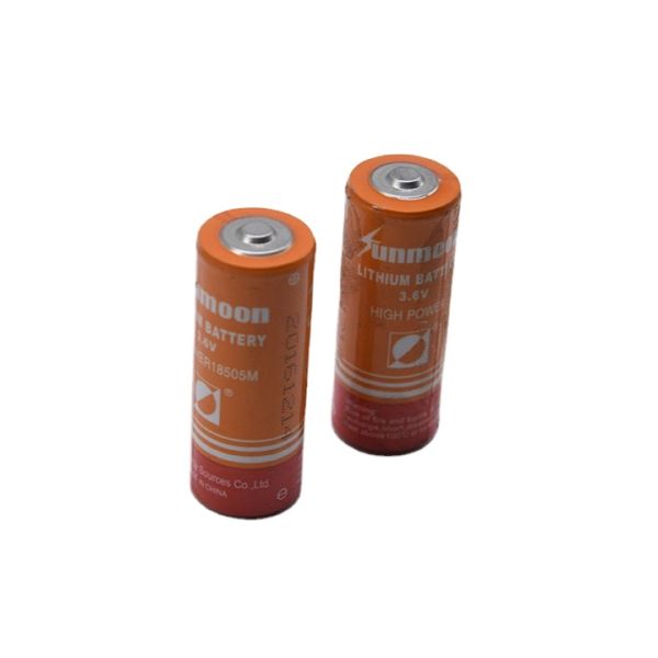 Durable multi-size lithium battery