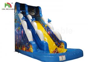 Quality Puncture - Proof Ocean World Dolphin Inflatable Water Slide / Outdoor Inflatable Playground for sale