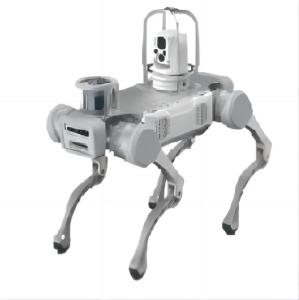 Robotic Radioactive Monitoring System With High Precision Laser Radar Deep Camera Artificial Intelligence Module