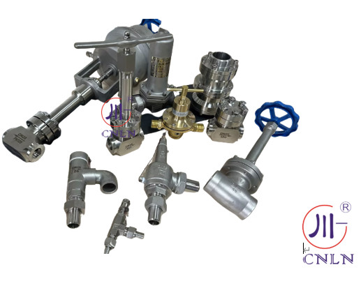 DN10-100 Cryogenic Saftety Valve Globe Valves Check Valve Control Valve