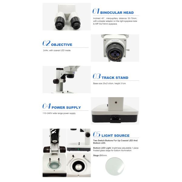 1W LED Binocular Stereoscopic Microscope A22.1309 1W 110 - 240V Power Supply