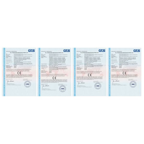 SUS304 Automated 500kg Jujube Banana Washing Machine vegetable cleaning