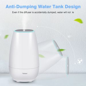 Usb Household Double Switch Air Purifying Aroma Diffuser