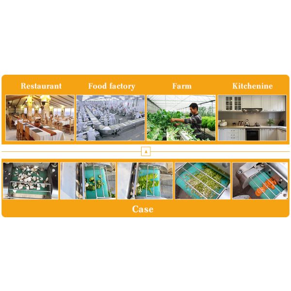 Customized Multi-function Cutting Machine for Cube Slice Strip Cutting Efficiency