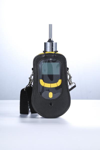 Buy CE Portable Gas Detector , Multi Ray Gas Detector NH3 H2 LEL Detection In Different Environment at wholesale prices