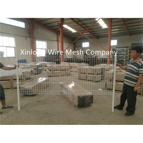 Powders Sprayed Coating Galvanized Welded Wire Mesh Fence for Sale