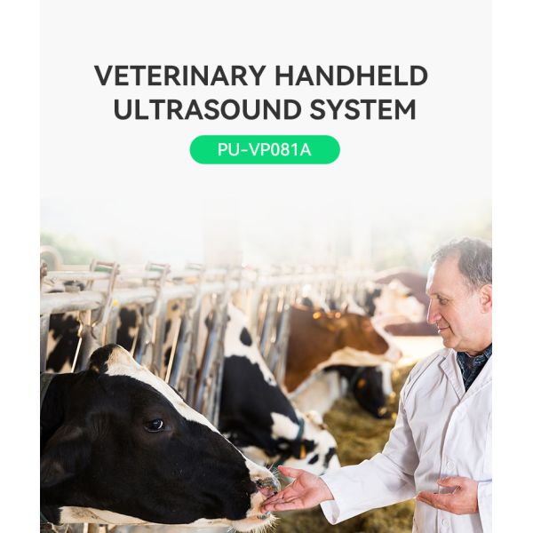 Yonker Hot Sale Ultrasound Machine Farm Use Vet Ultrasound Machine Portable Vet Veterinary Ultrasound Equipment